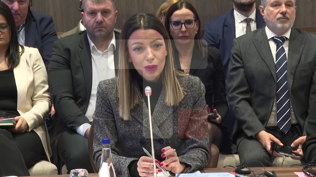 Mesarović: Mnogo kineskih kompanija radi na ubrzanoj urbanizaciji našoj zemlji