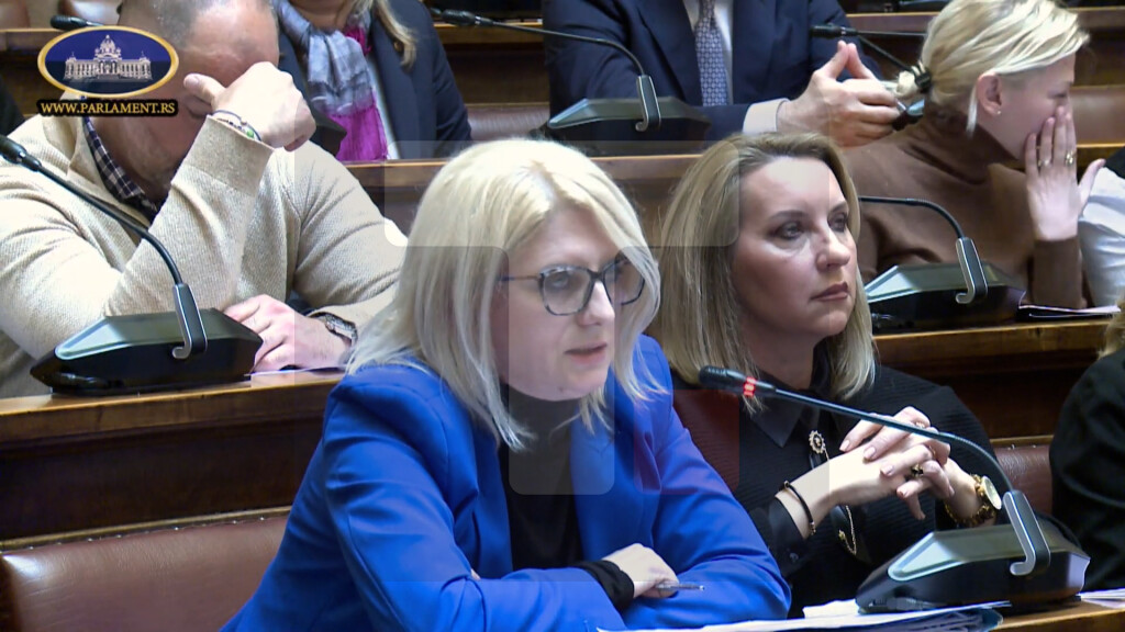 Amanović: Izmene Zakona o trgovini sprečiće veštačko povećanje cena pre sniženja