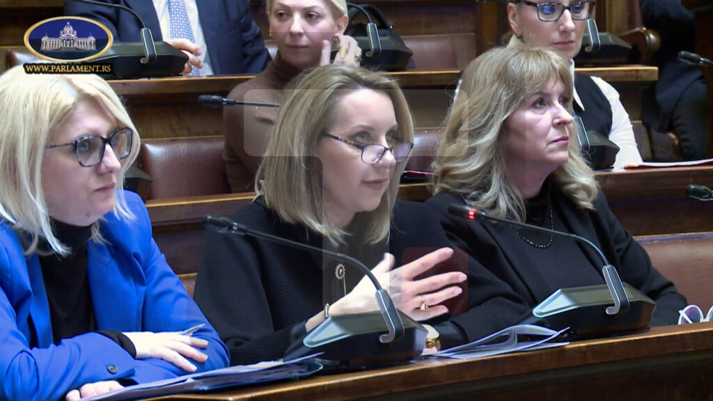 Dokić: Zakon o trgovačkim praksama uvodi stroža pravila za konkurentnije tržište Srbije