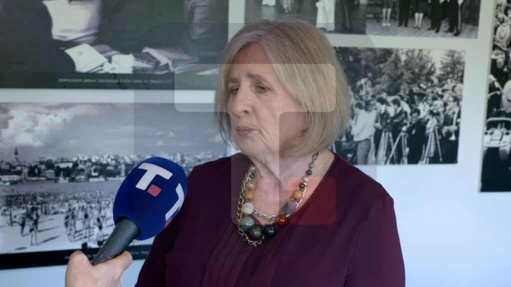 Putniković: Da je diverzija uspela Mađarska bi ostala bez gasa koji dobija iz Rusije