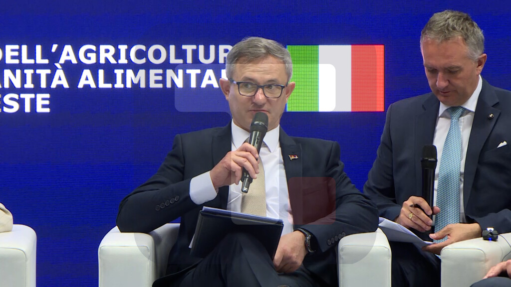 Glamoči: Srbija godišnje proizvede više od 22 miliona litara vina