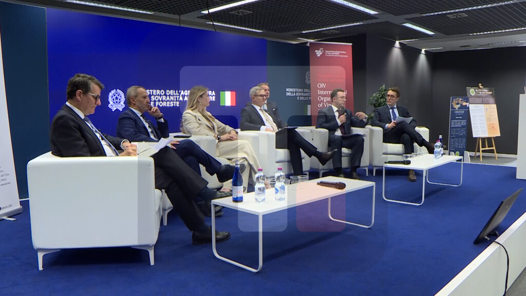 Glamočić na Konferenciji „Prepoznavanje kulturne vrednosti vinove loze i vina: međunarodne perspektive“