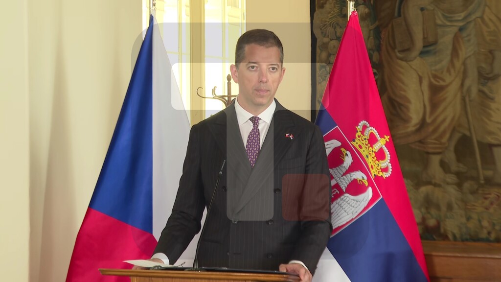 Đurić: Srbija će do kraja godine ispuniti sve procese za članstvo u EU