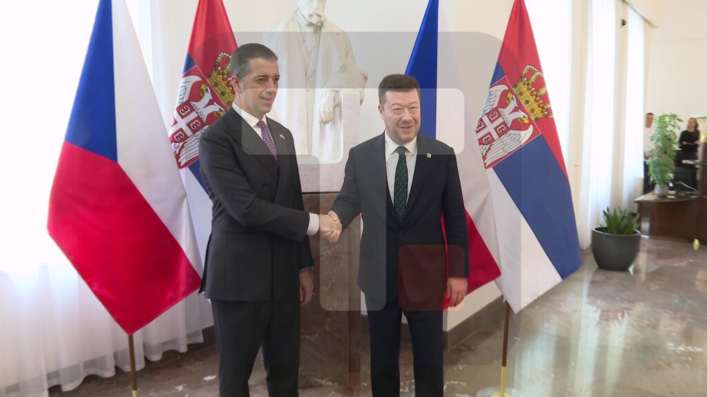 Đurić na radnom ručku koji organizuje predsednik Parlamenta Češke