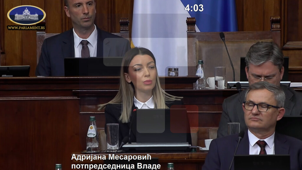 Mesarović: Zakoni pred poslanicima važni za dalji razvoj Srbije