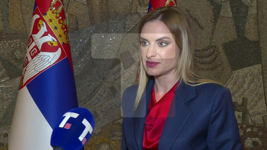 Đurđević Stamenkovski: Ova patforma je važna i zbog budućeg Zakona roditelj-negovatelj, cilj bolja i brža komunikacija izmedju Centara, Ministarstva i krajnjih korisnika