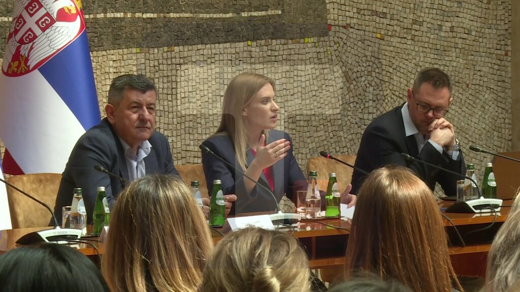 Sastanak Đurđević Stamenkovski sa Centrima za socijalni rad o vođenju u operativni rad Platforme za podršku zaposlenima koji koriste SOZIS