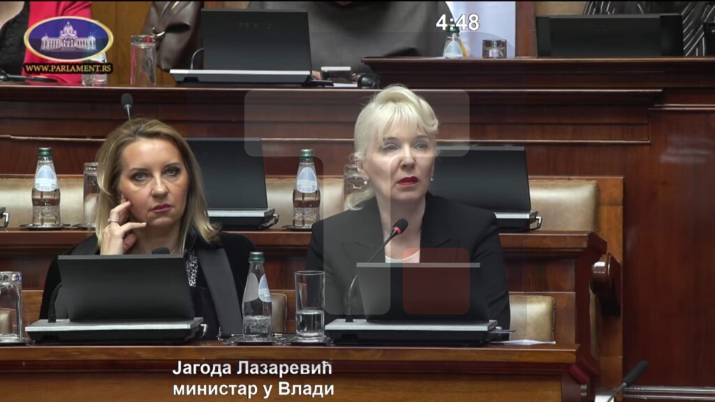 Lazarević: Ovi zakoni nisu naša egzit strategija