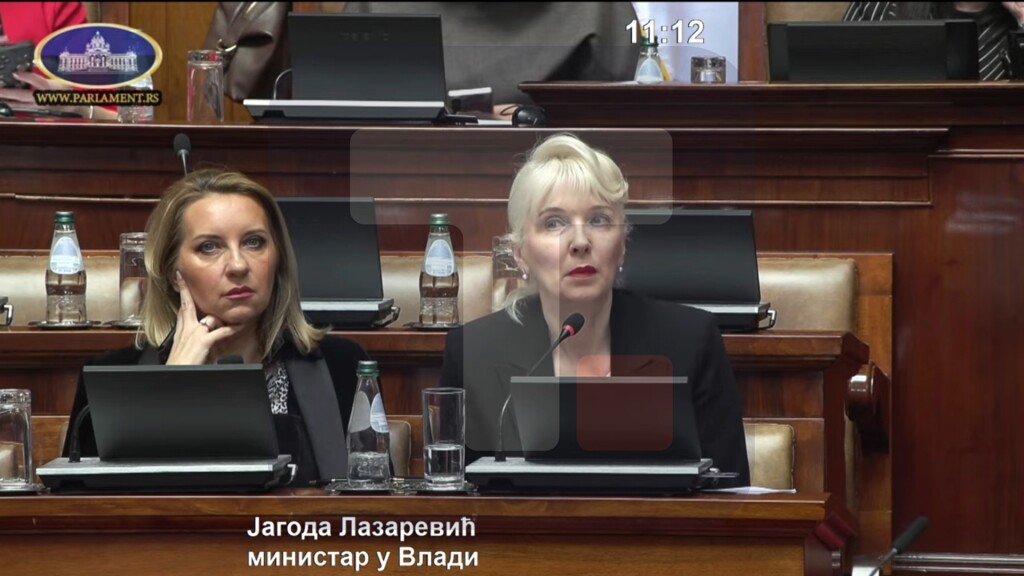 Lazarević: Svi se suočavamo sa problemom često visokih cena