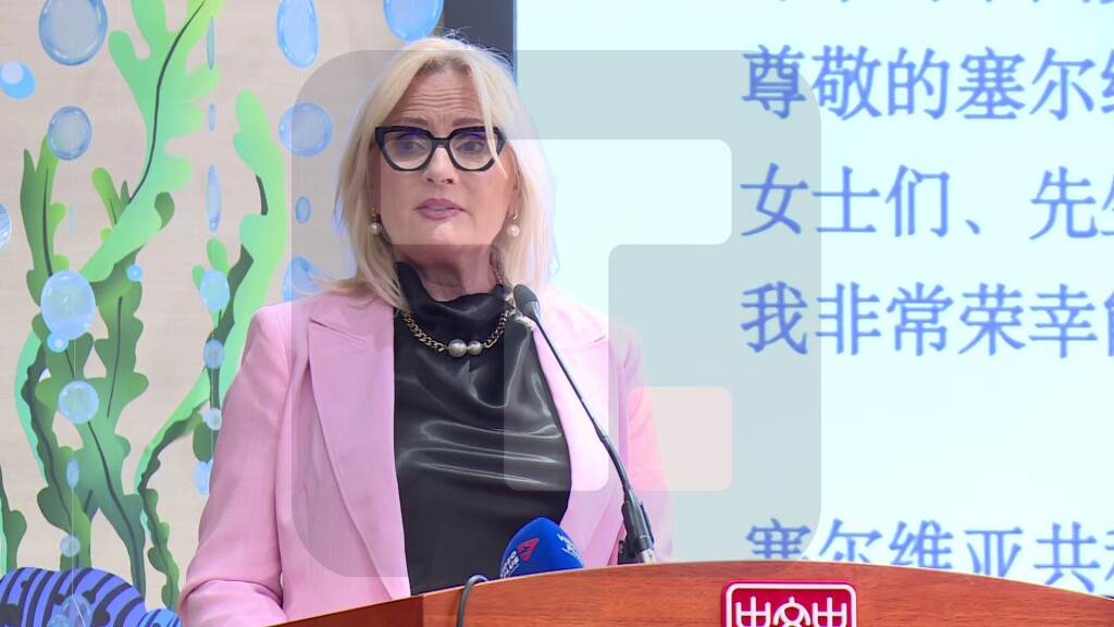 Rakić: Srbija i Kina neguju dugogodišnje prijateljstvo i strateške odnose