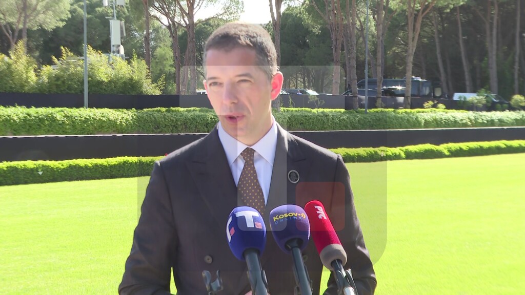 Đurić: Srbija kao i uvek nastoji da bude reo rešenja, a ne deo problema