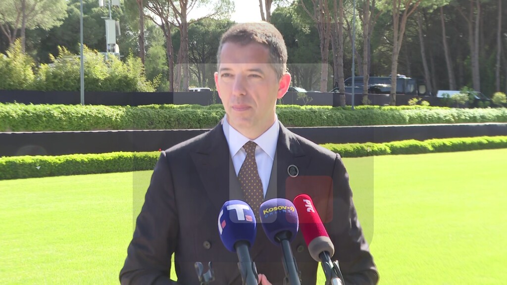 Đurić: Delima smo pokazali da je Srbija deo rešenja