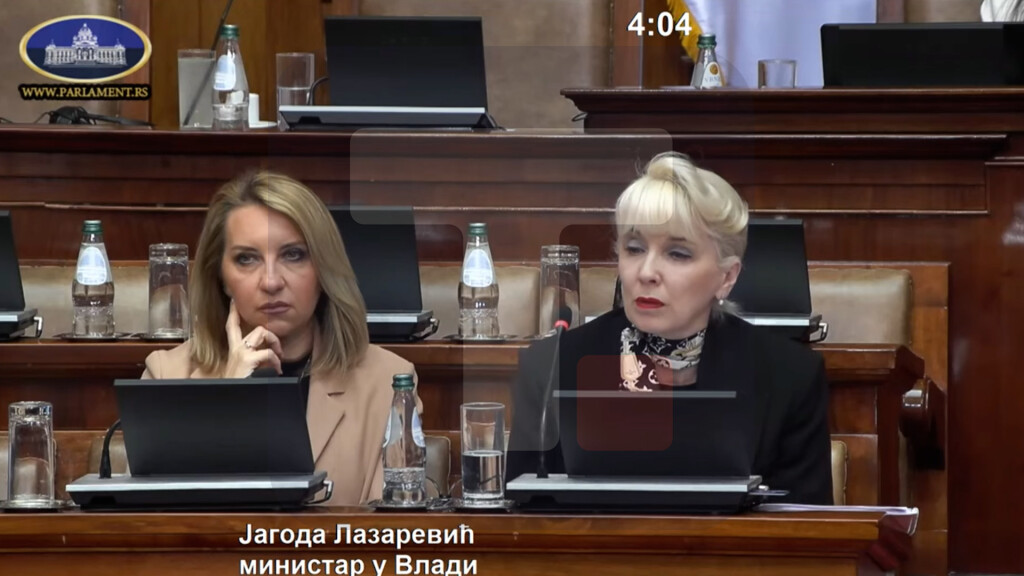 Lazarević: Kaznena politika koju predviđa ovaj predlog zakona je izuzetno oštra