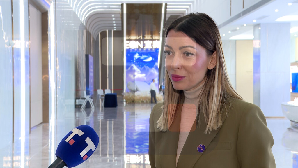 Mesarović: Sreli smo se sa velikim brojem veoma značajnih kompanija