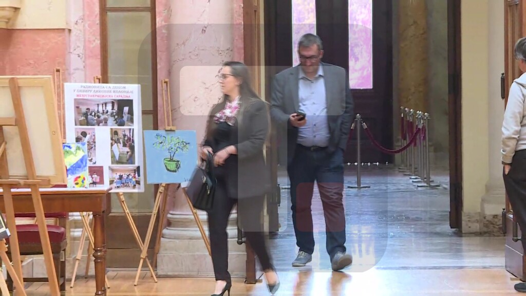 Nastavljena rasprava po amandmanima na zakon koji se odnosi na kohezionu politiku