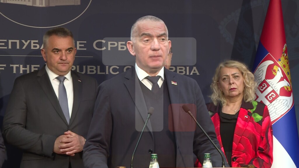 Vujić: Republika Srbija je dala pune garancije kako bi se omogućilo prevremeno puštanje