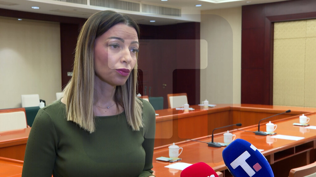 Mesarović: Pored novih investicija za državu je ključan i plasman srpskih proizvoda na veliko kinesko tržište