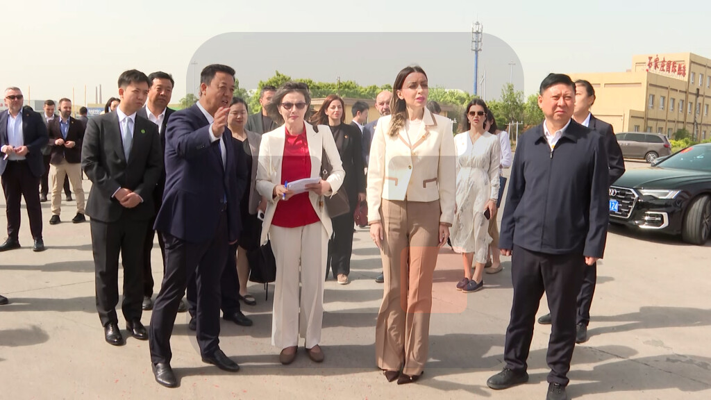 Mesarović posetila Hebei Land Port Group Co