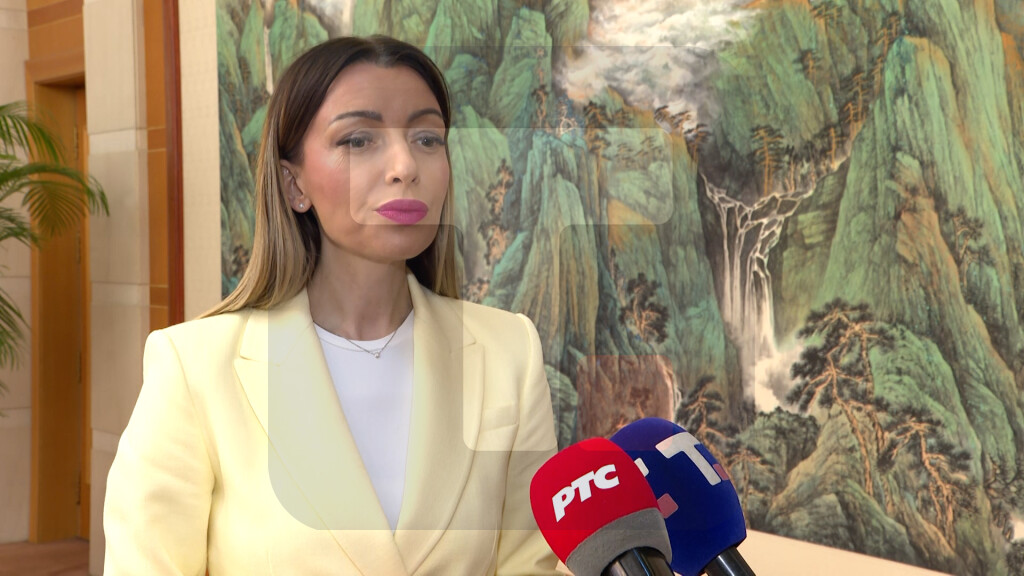 Mesarović: Imali smo veoma konkretne razgovore kada je u pitanju otvaranje proizvodnog pogona komanije TBEA u našoj zemlji