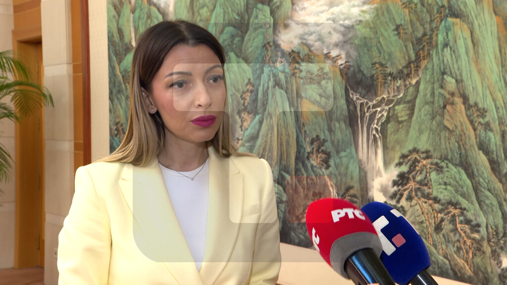 Mesarović: Tjenđin ima jako izraženu tešku industriju i brodogradnju, imali smo konkretne razgovore