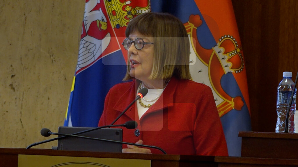 Gojkovć: Počeli smo da sastavljamo ovaj dokument po ugledu na Vladu Republike Srbije