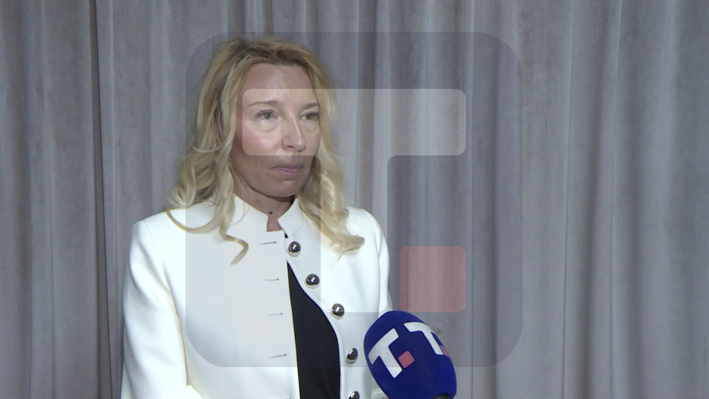 Knežević: Članstvo NAT-a u ENQA značilo bi međunarodno prepoznavanje da sistem visokog obrazovanja u Srbiji ispunjava evropske standarde kvaliteta