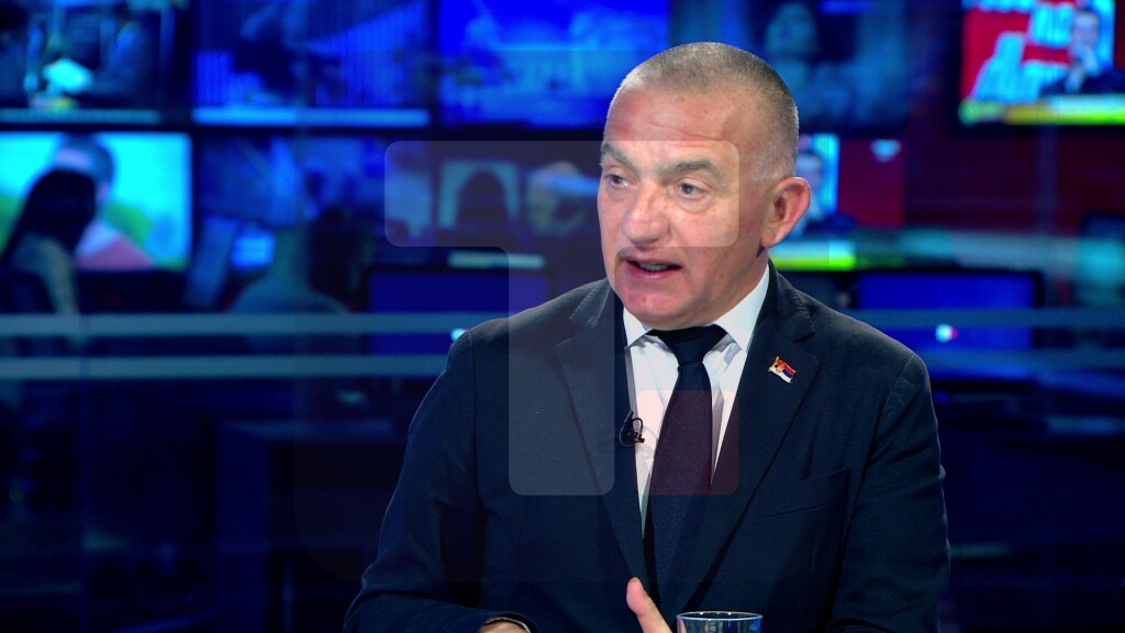 Vujić: Venecijanska komisija je savetodavno telo Saveta Evrope, ne sud