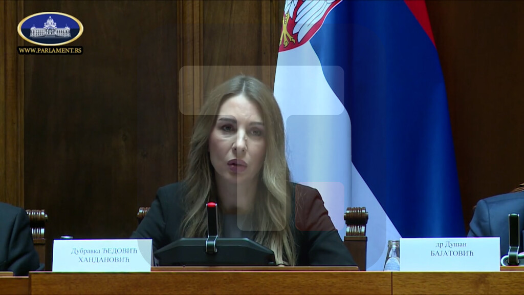 Đedović Handanović: Srbija od zemalja kandidata najbrže sprovodi reforme u energetskom sektoru