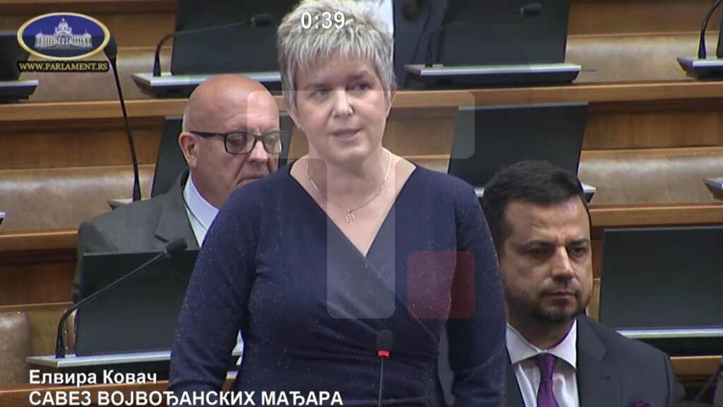 Kovač: U Srbiji način zastupanja nacionalnih manjina dobar