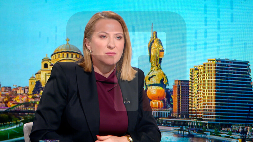 Paunović: Građani neće imati mnogo benefita od izmena izbornih zakona