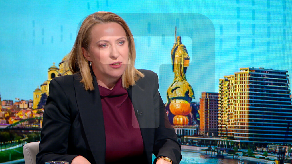 Paunović: Zakonom sada regulisan rok u kojem se stiče biračko pravo na osnovu boravišta