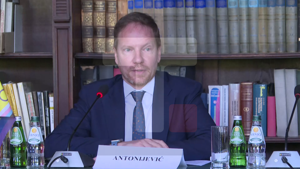 Antonijević: Ima još mnogo koraka koje moramo učiniti kao društvo