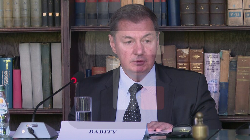 Babić: Upravo zato je današnji skup važan, jer je deo mnogo šireg i sve hitnijeg razgovora