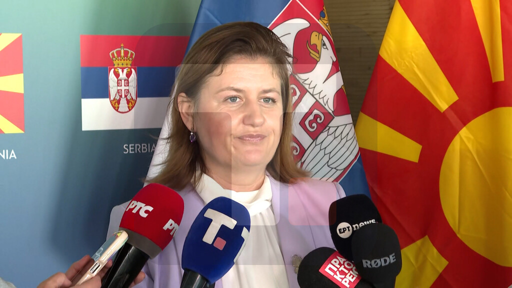 Božinovska: Severna Makedonija juče objavila tender za gradnju gasne interkonekcije sa Srbijom