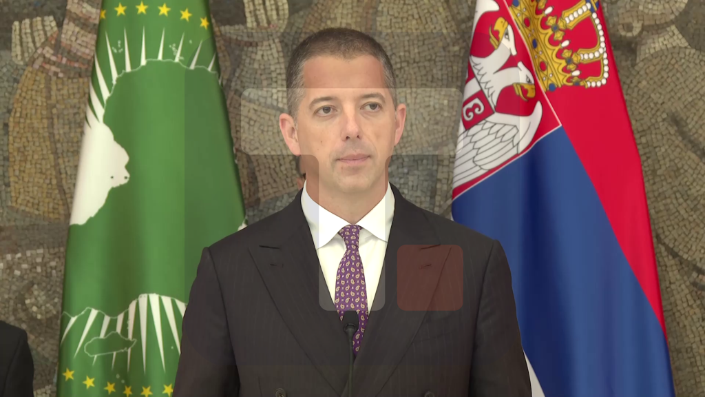 Đurić: Dan Afrike za Srbiju ima veliki značaj