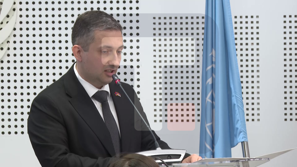 Hemćijan: Aktivan put Srbije ka COP17 je od izuzetnog značaja