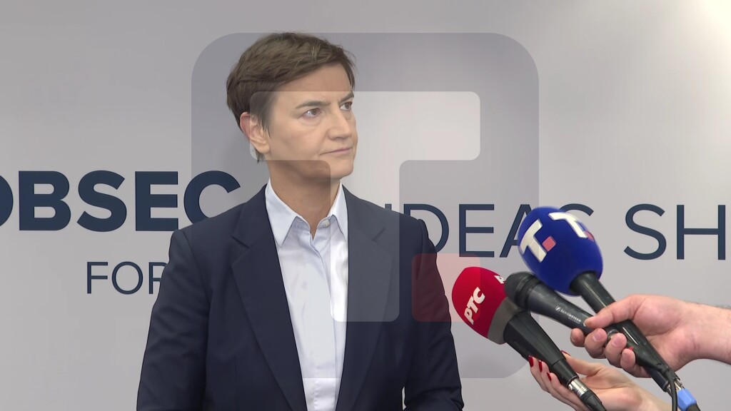 Brnabić: Članice Evropske unije razmišljaju na različite, često potpuno suprotne načine