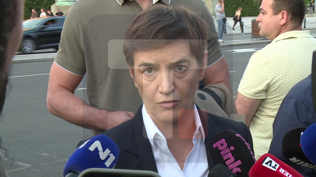 Brnabić: Važno je da je sve proteklo mirno i da je pobeđena obojena revolucija