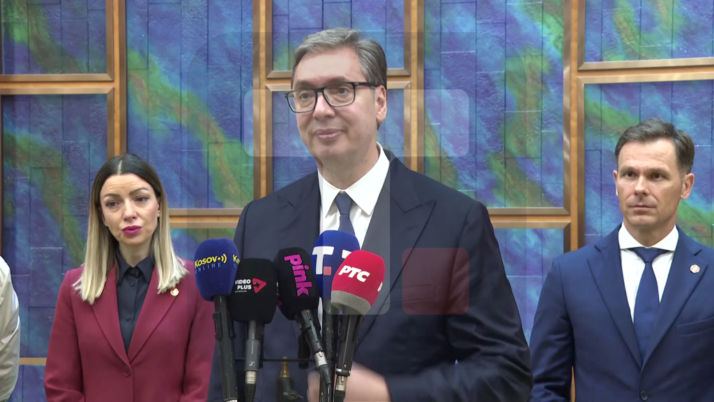 Vučić: Njihov jedini program je izgleda da uništavaju ono što je neko drugi izgradio, da tuku žene i prete muškarcima