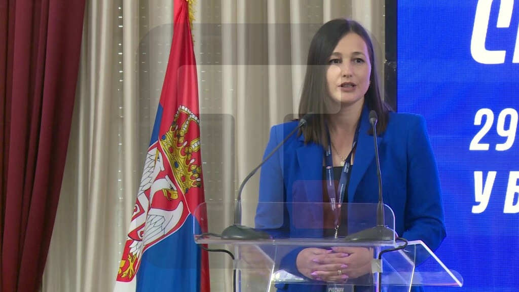 Krnetić: Saradnja Srbije i Republike Srpske na najvišem nivou
