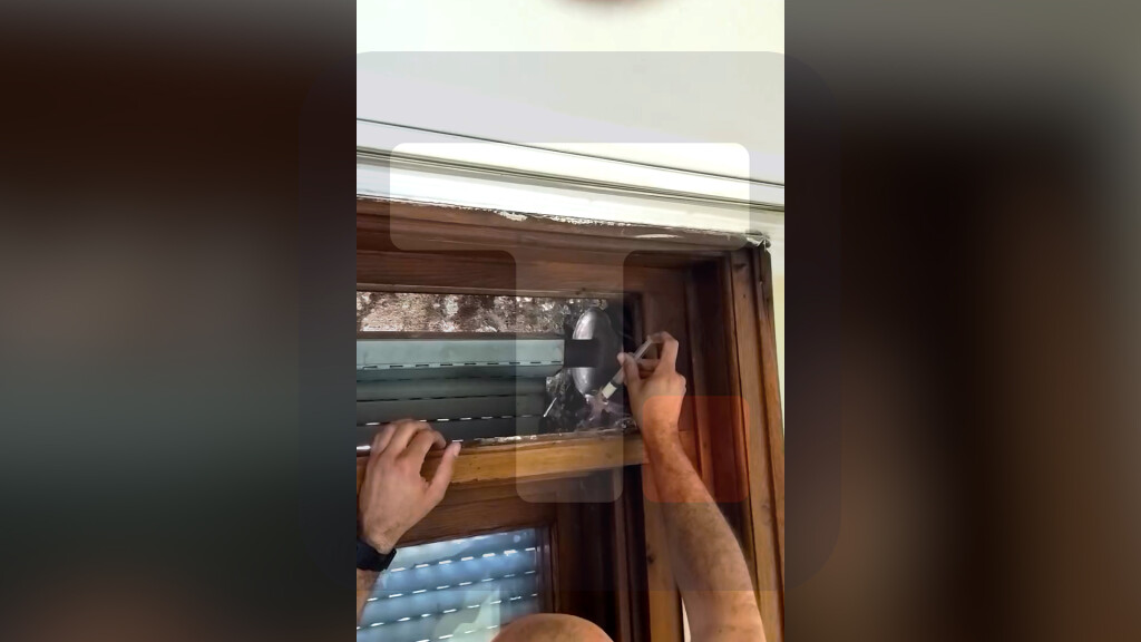 Hitno organizovana akcija hranjenja mladunaca bele čiope