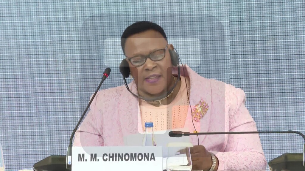 Činomona: U Africi je nezaposlenost među ženama gotovo 30% veća nego kod među muškarcima