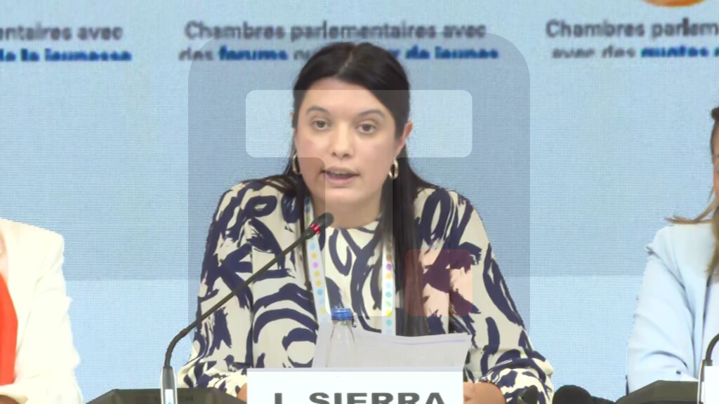 Siera: Zastupljenost mladih je važna, demokratija je jača kada institiucije održavaju celokupan sastav društva