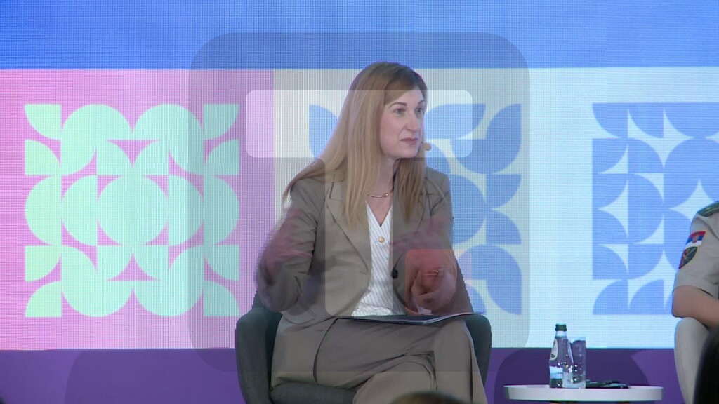 Jovanović: Republika Srbija je vrlo posvećena unapređenju društveno političkog položaja žena