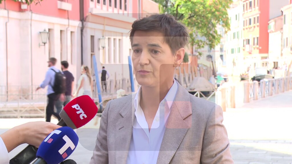 Brnabić: Ni u jednom trenutku nismo želeli da izbegnemo sud Venecijanske komisije