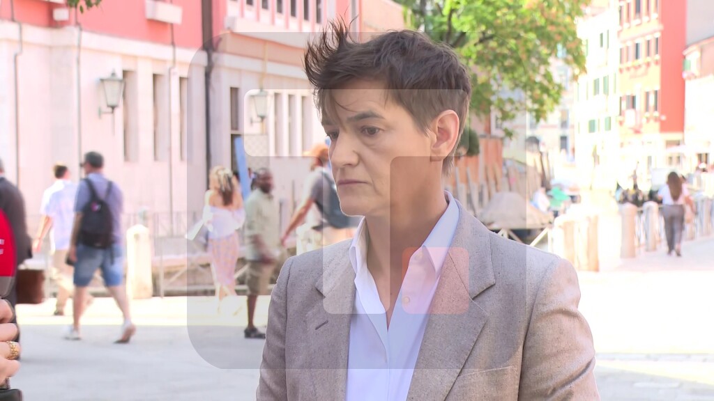 Brnabić: Na Venecijanskoj konvenciji se pokazalo da su blokaderi obmanjivali javnost