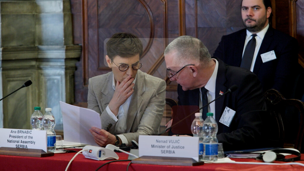 Brnabić i Vujić na sastanku Venecijanske komisije o pravosudnim zakonima