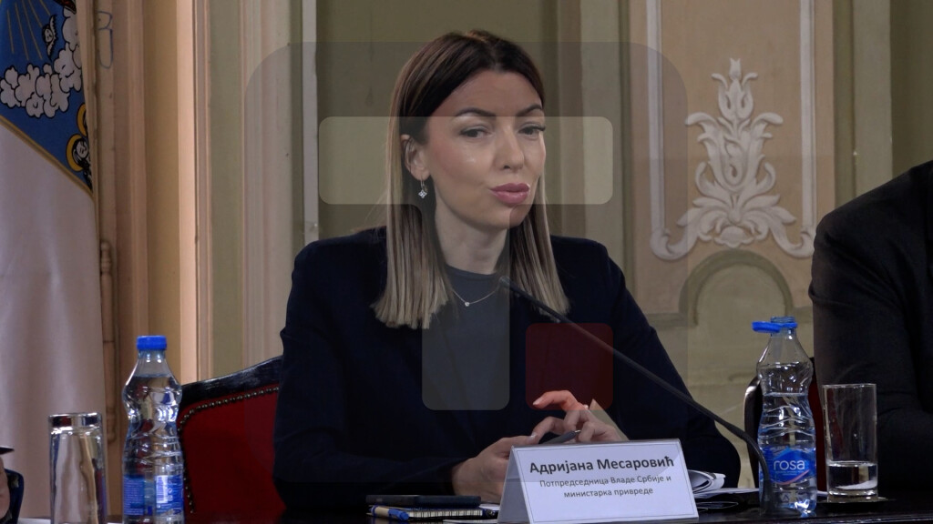 Mesarović: Ponuđena radna mesta će biti konkurentna kada je reč o primanjima