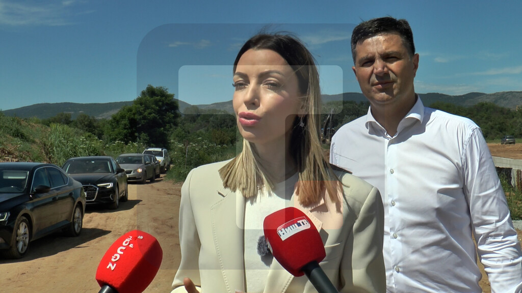 Mesarović: Od 2012. godine otvoreno 12 fabrika svetskih giganata u Nišu
