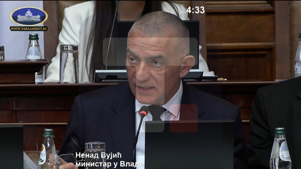 Vujić: Narodni poslanici su nosioci glasa građana